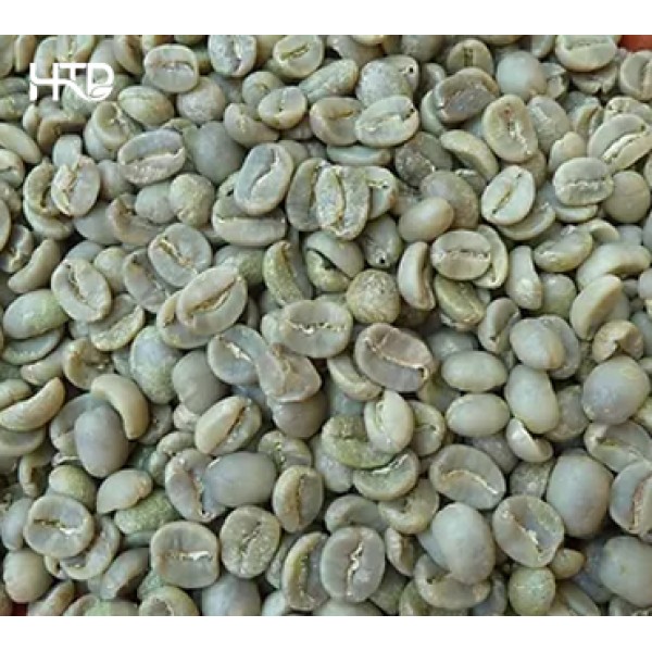 Arabica Cầu Đất sàng 18