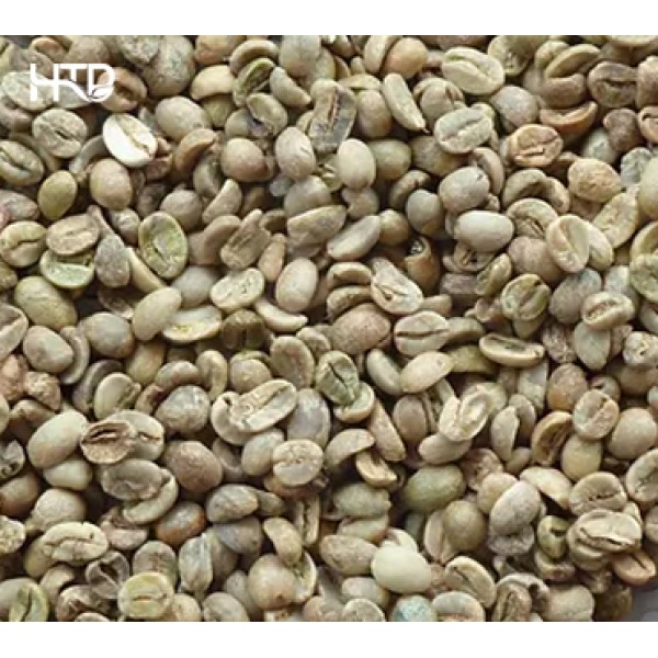 Arabica sàng 18