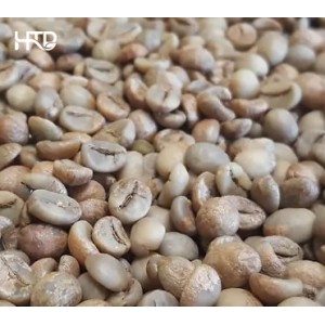 Robusta Buon Ma Thuot S18