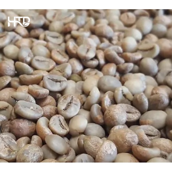 Robusta Buon Ma Thuot S18