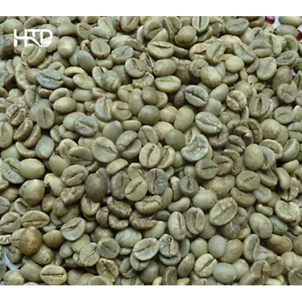 Robusta sàng 18