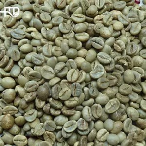 Robusta sàng 18