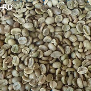 Arabica sàng 16 CBƯ